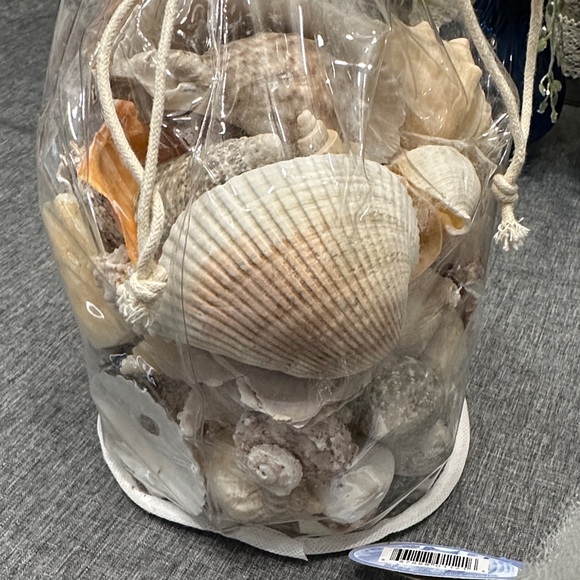 Assorted Seashell / pebble Collection - Picture 2 of 4